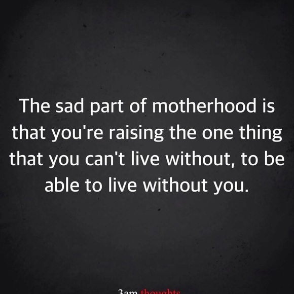 ☺🤩😍Hello Poshers😍🤩☺ - Picture 7 of 16